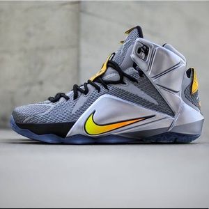 Lebron 12 “Flight”